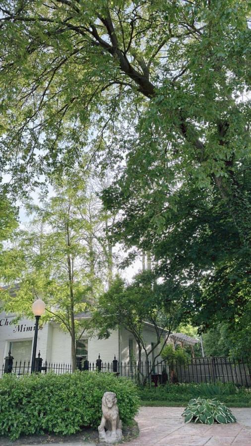 The Ginkgo Tree Bed and Breakfast Mount Pleasant Eksteriør billede