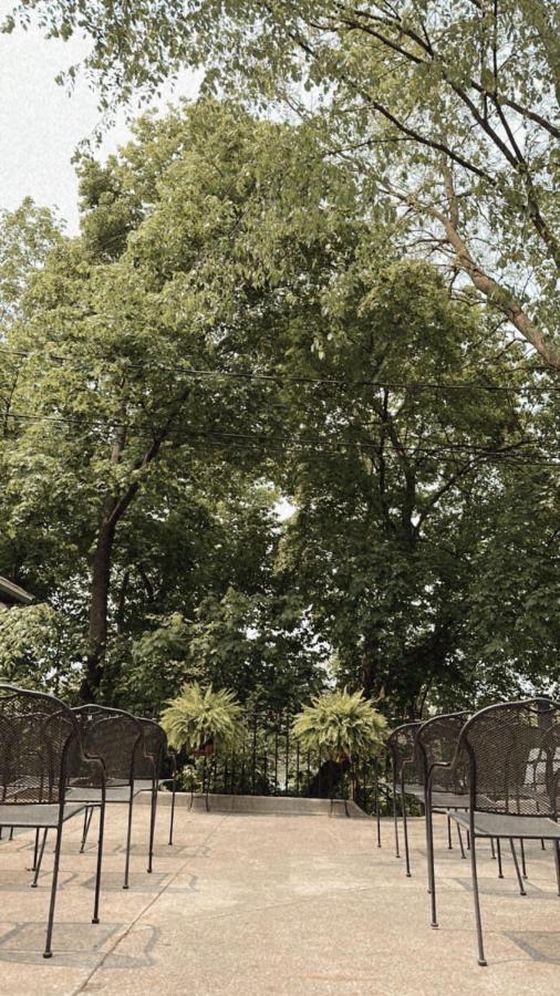 The Ginkgo Tree Bed and Breakfast Mount Pleasant Eksteriør billede