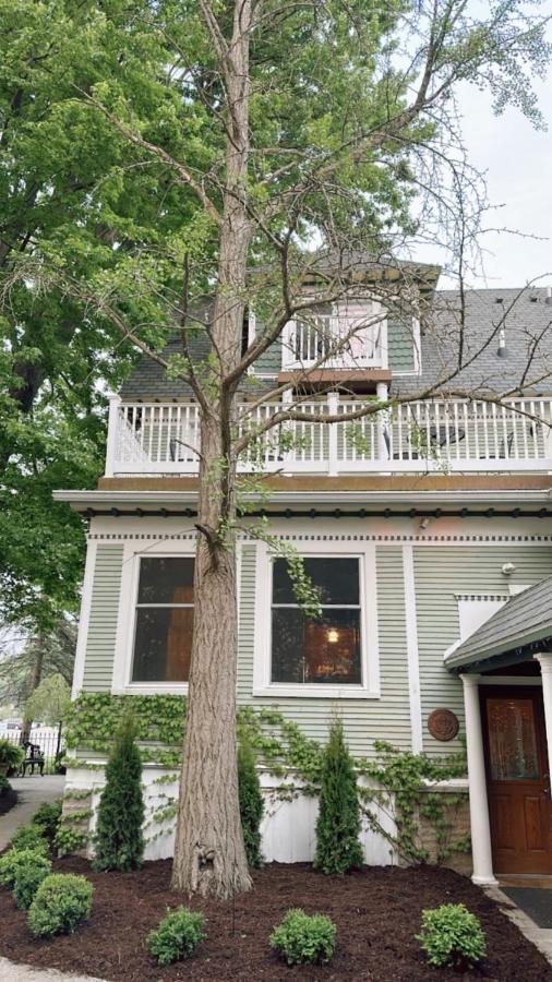 The Ginkgo Tree Bed and Breakfast Mount Pleasant Eksteriør billede