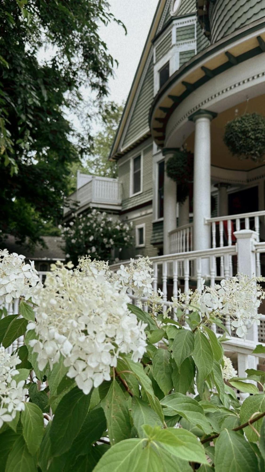 The Ginkgo Tree Bed and Breakfast Mount Pleasant Eksteriør billede